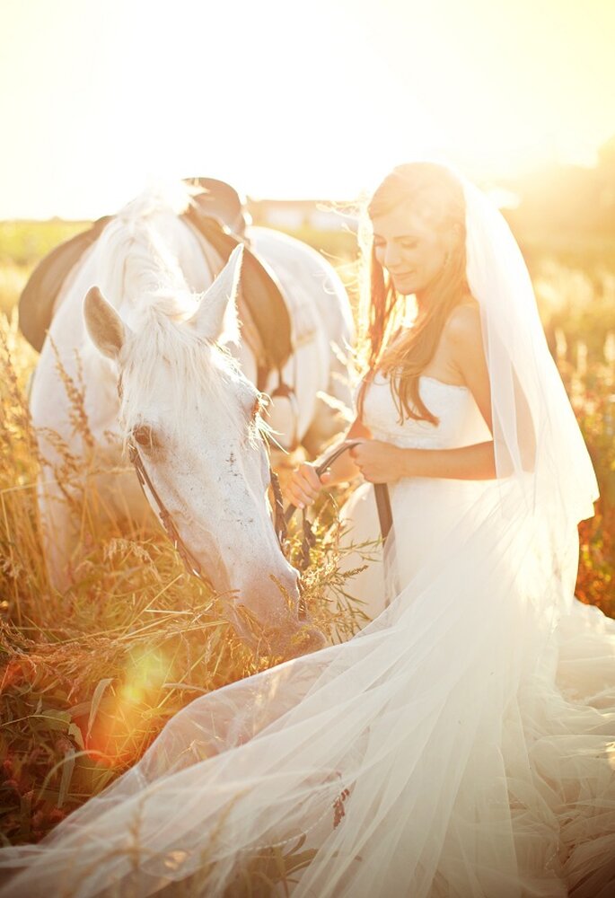 «Sempre me fascinaram as fotos de noivas e cavalos, fazem parte de um imaginário feminino de puro romantismo e contos "viveram felizes para sempre". A linguagem corporal e o olhar terno e sereno envolvem-nos nesse ambiente caloroso, sensorial e de sonho.»

www.momentocativo.com