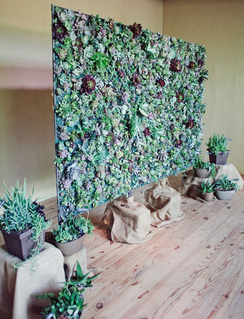 Foto: Succulent Wall Wedding