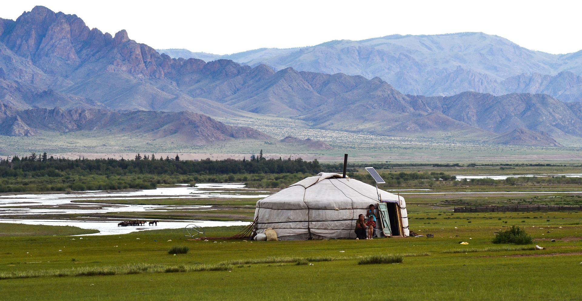 Campos da Mongólia
