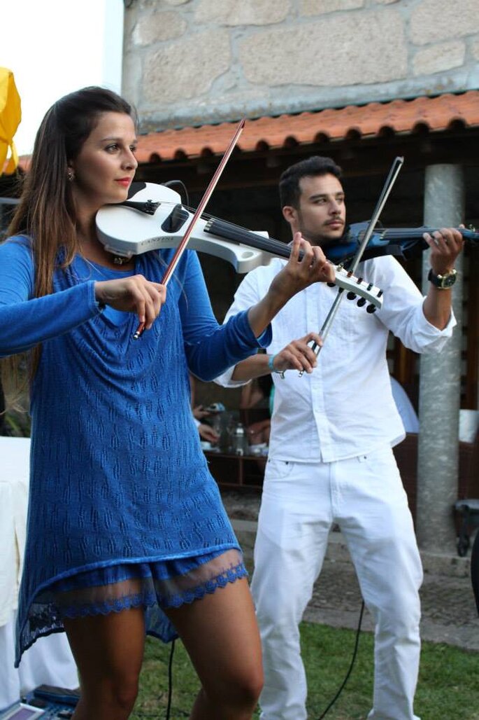 SóAnimarte
