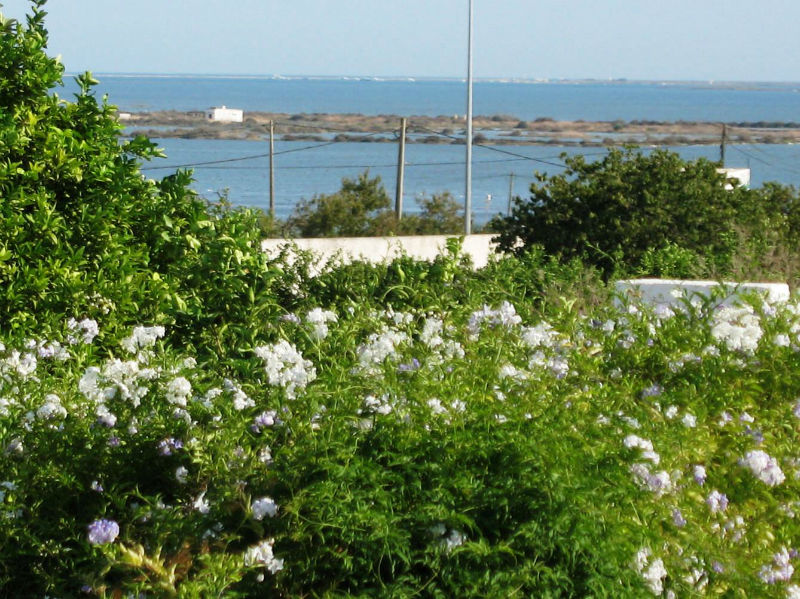 Quinta da Senhora Menina