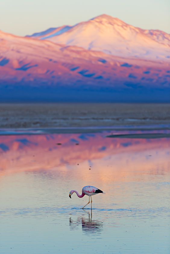 Foto via Pinterest