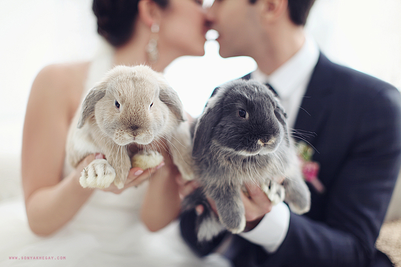 Foto Ruffled Blog | Fotografia de Sonya Khegay Photography