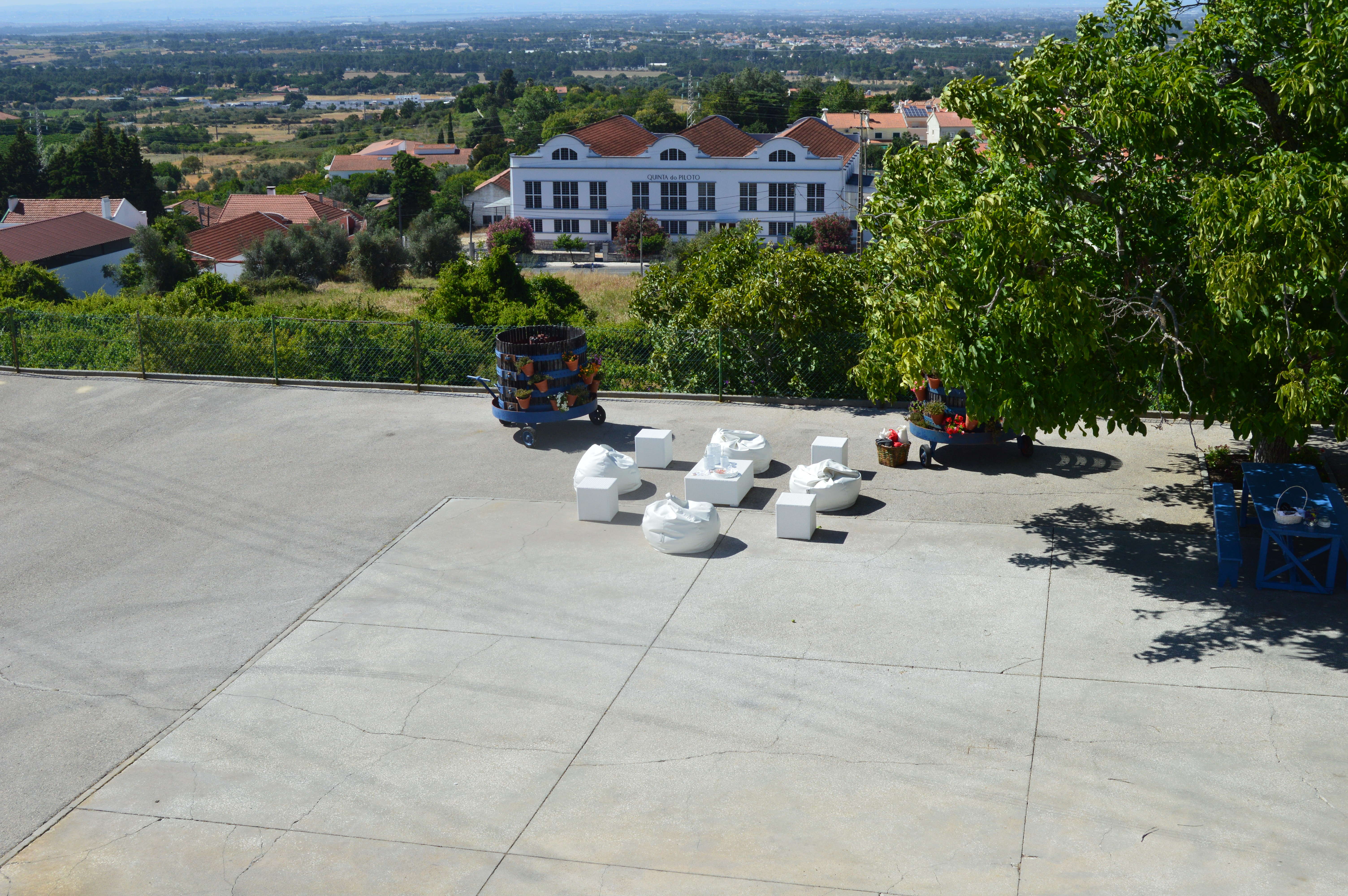 Quinta do Piloto - Vinhos