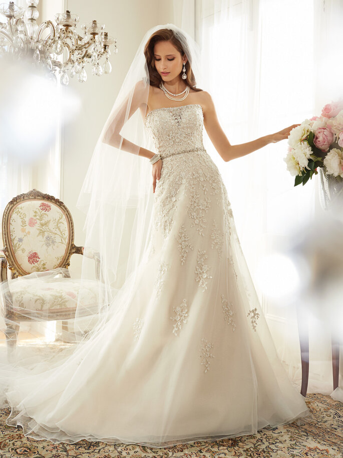 Crédits: Sophia Tolli