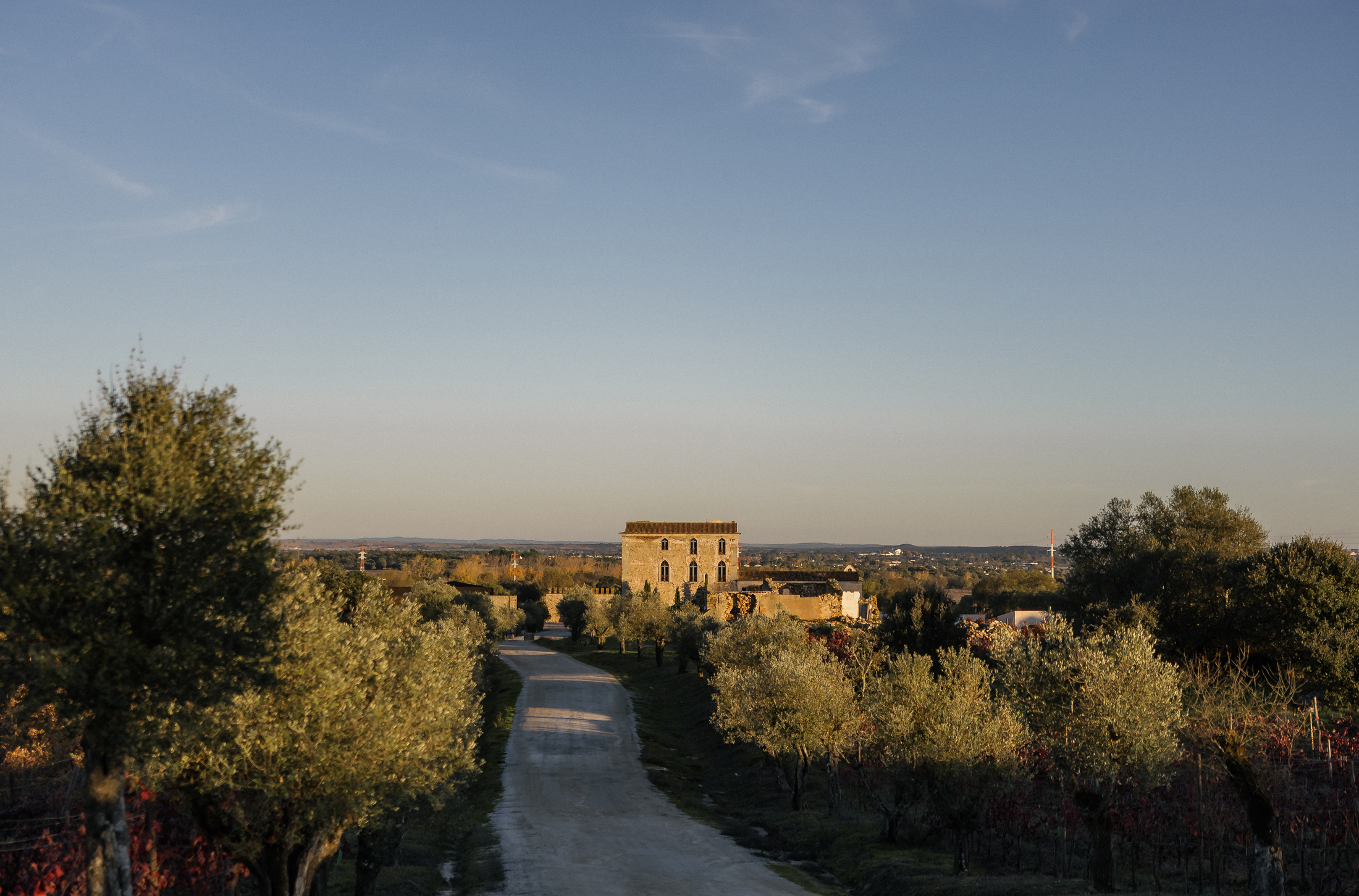 Fotografia: It's All About