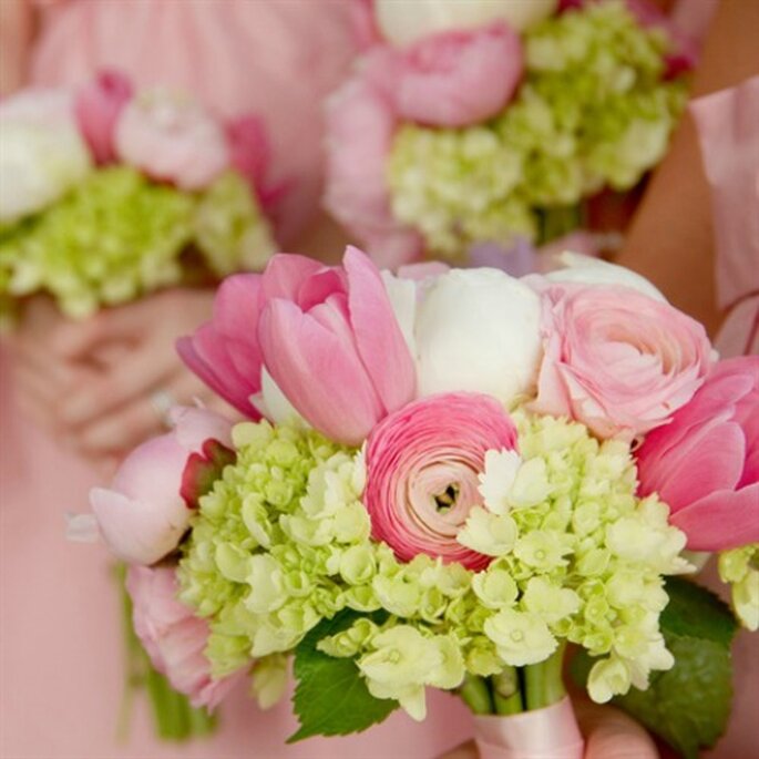 Melissa Perella Photography