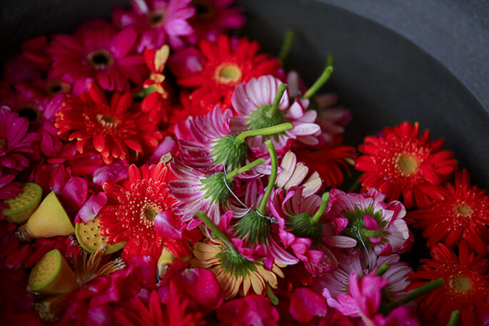 Foto: MangoRed