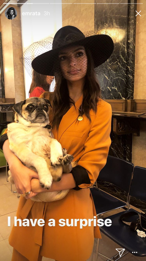 Instagram Stories Emily Ratajkowski