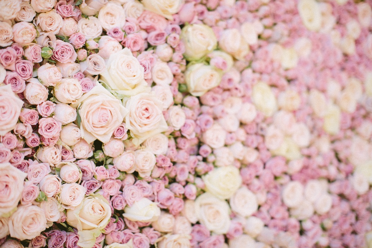Dream Weddings Europe