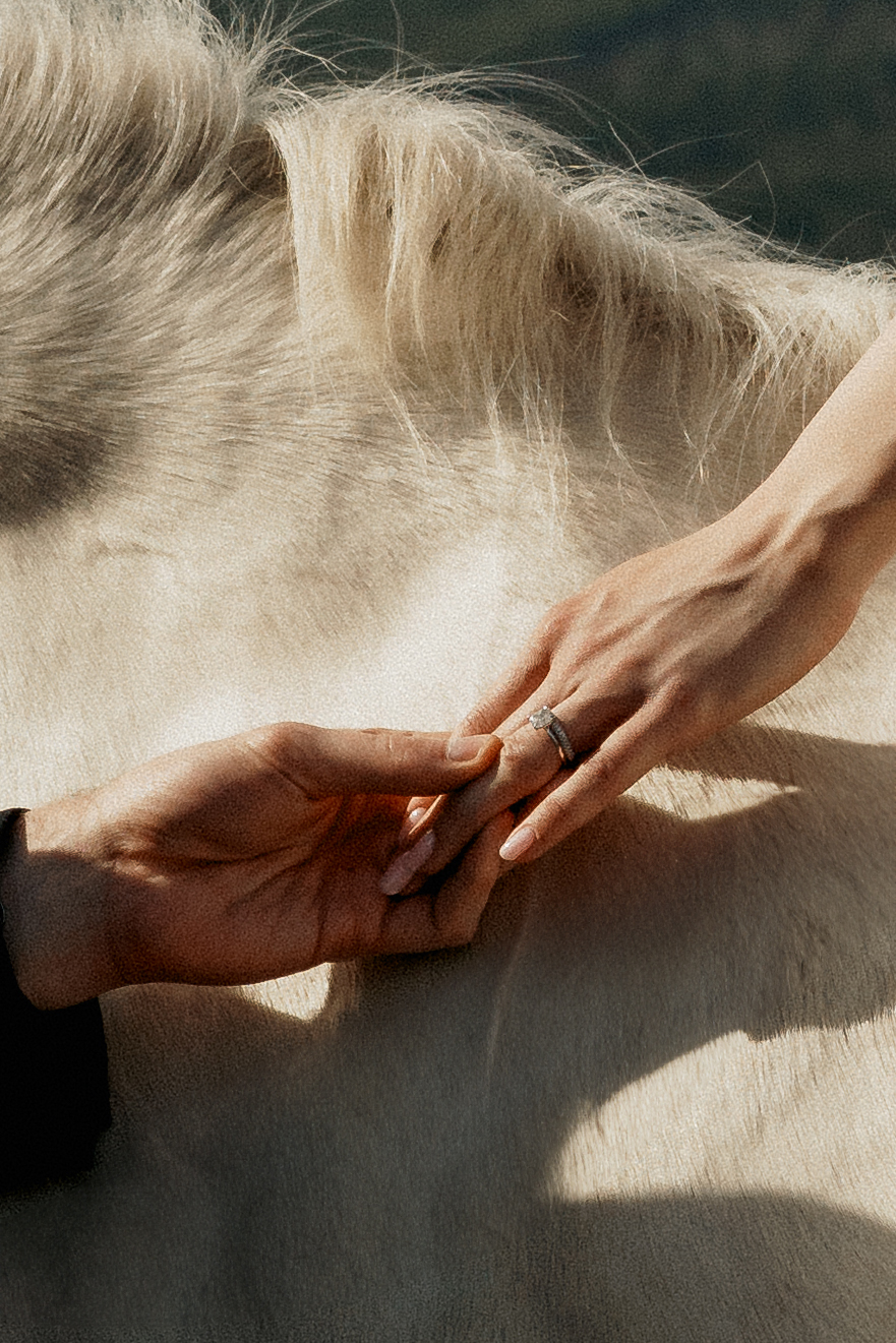 Untamed Love