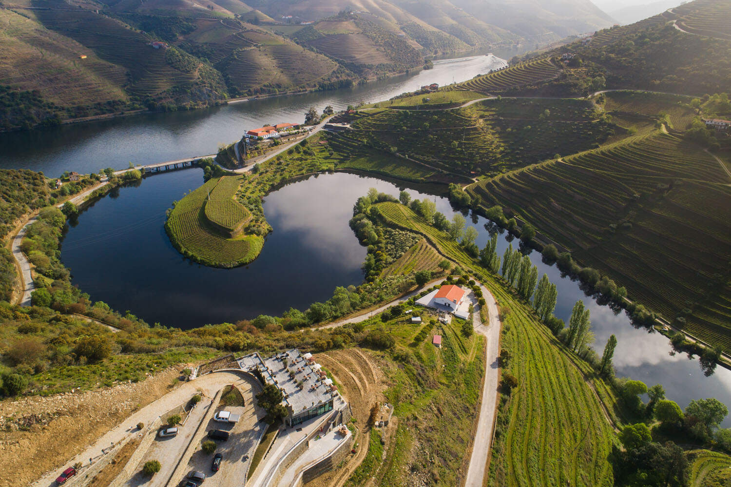 Vila Galé Douro Vineyards