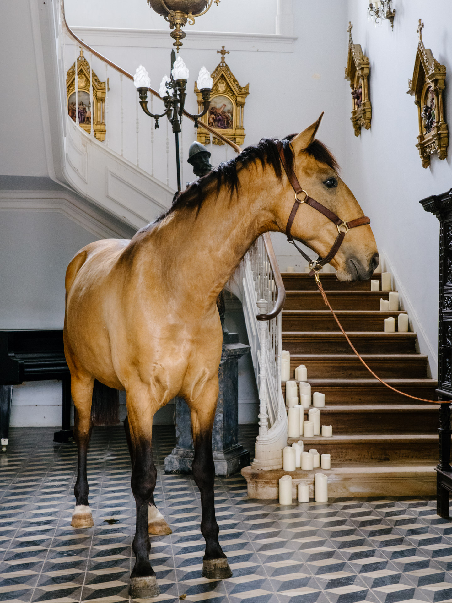 Foto: Detail Wedding Photography