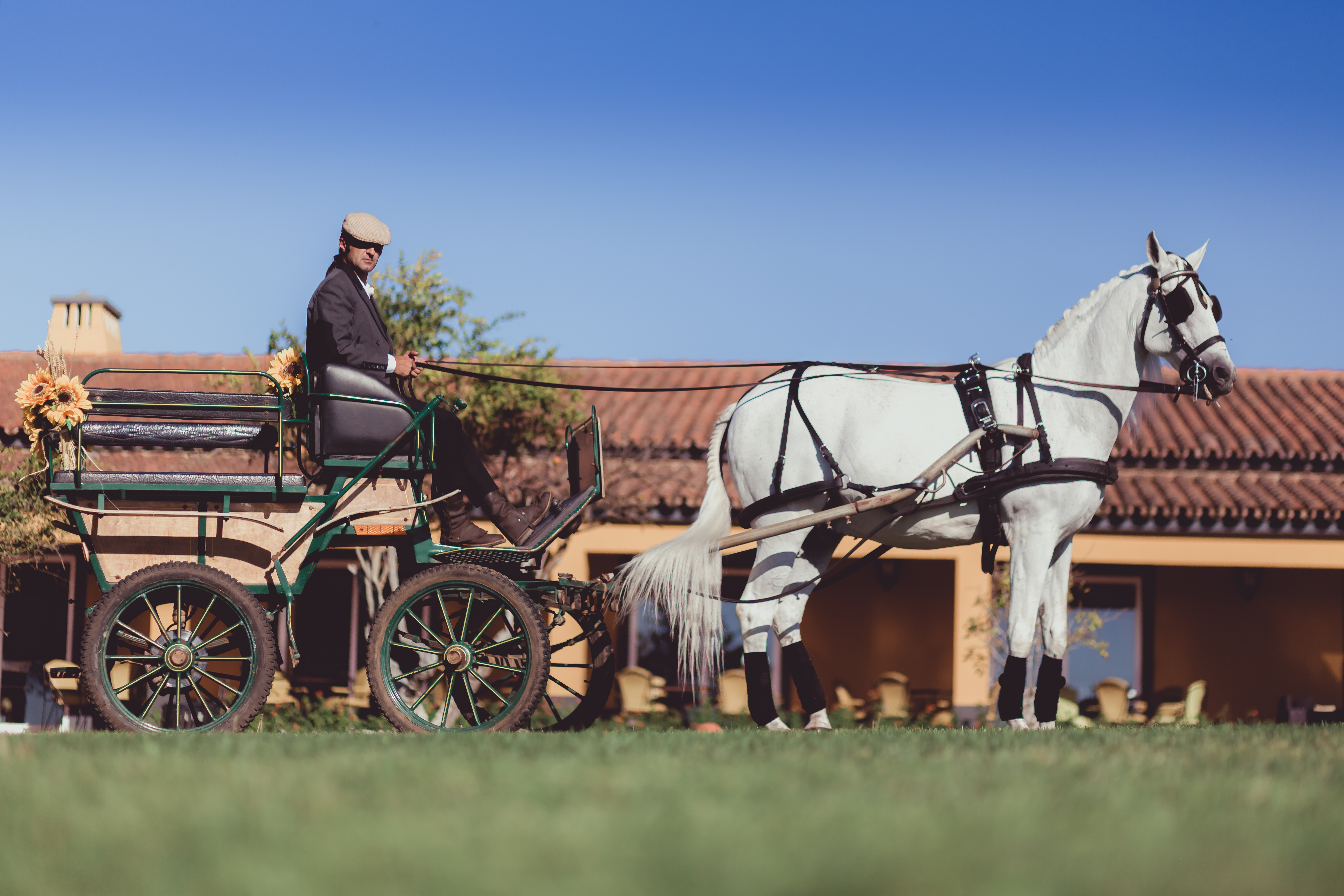Herdade Clube de Campo - Alentejo Vineyards e Monte do Vilar