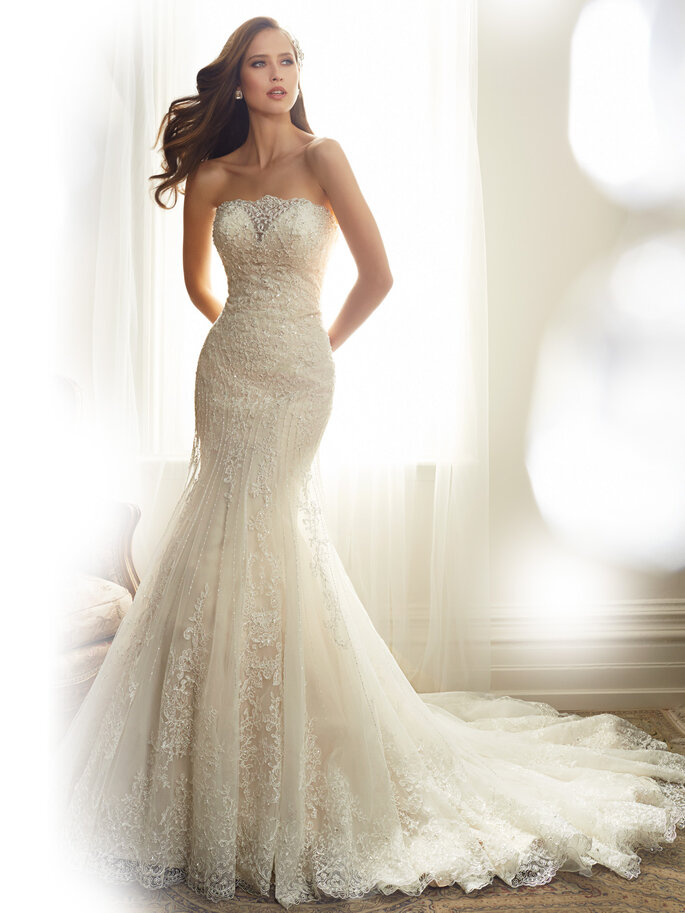 Crédits: Sophia Tolli