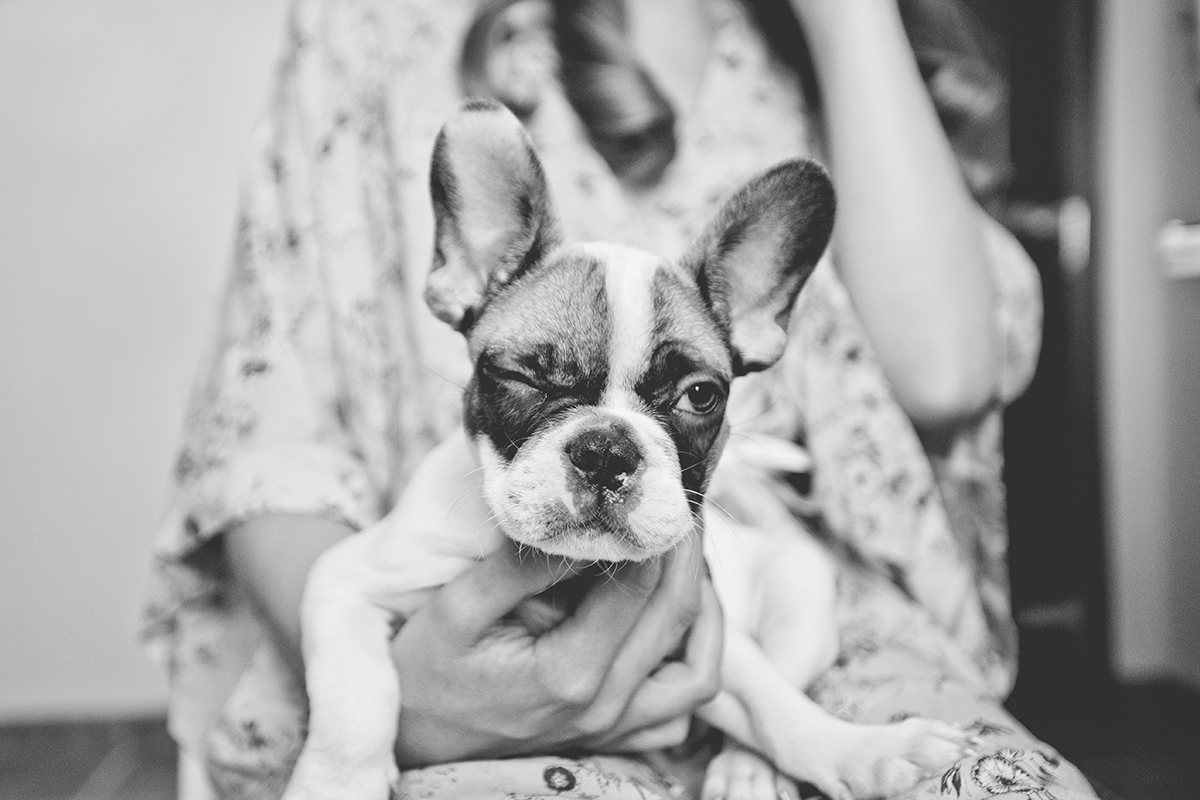 NJMattos Photography