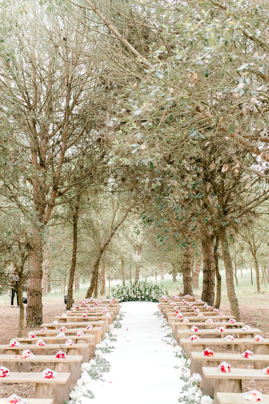 The Wedding Wonderland | Wedding planner