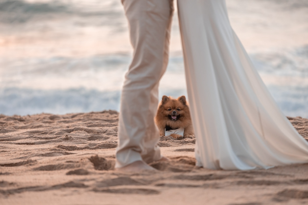 Pedro Villa Fotografia