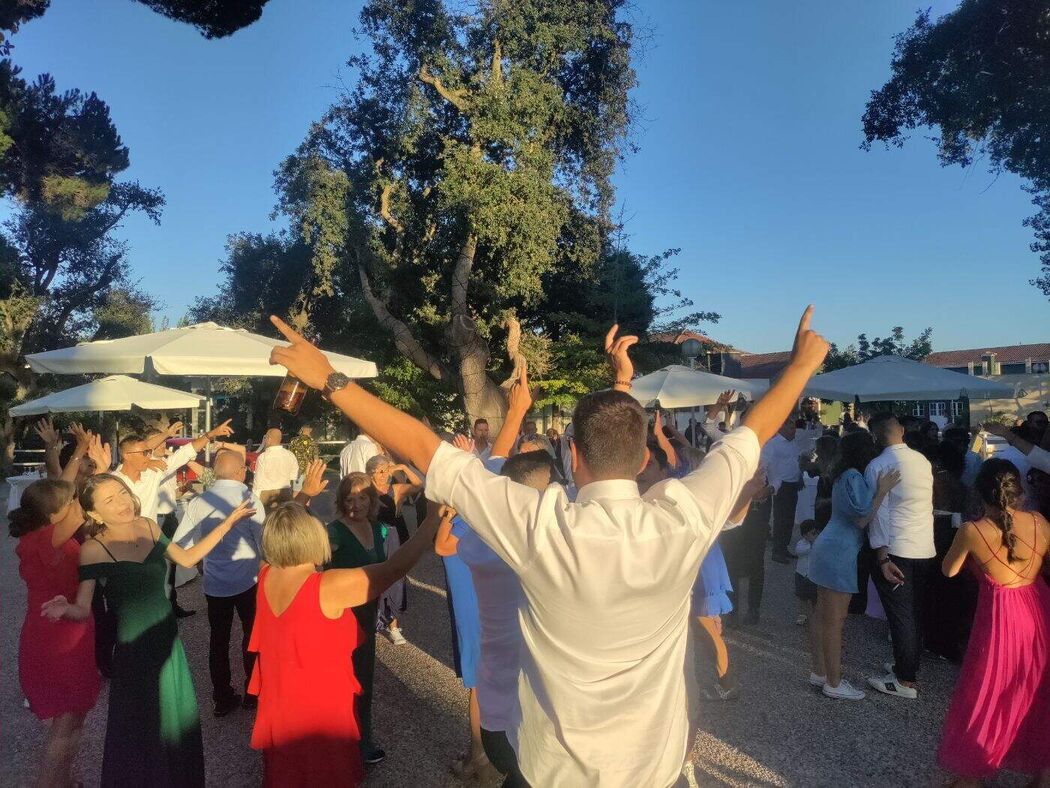 Animação de casamento