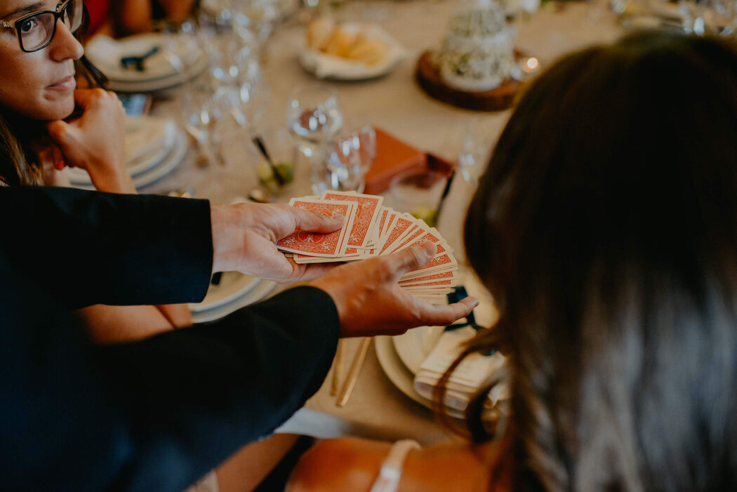 Animação de casamento 