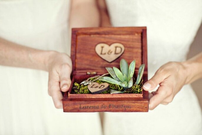 Elizabeth Lloyd Photographer