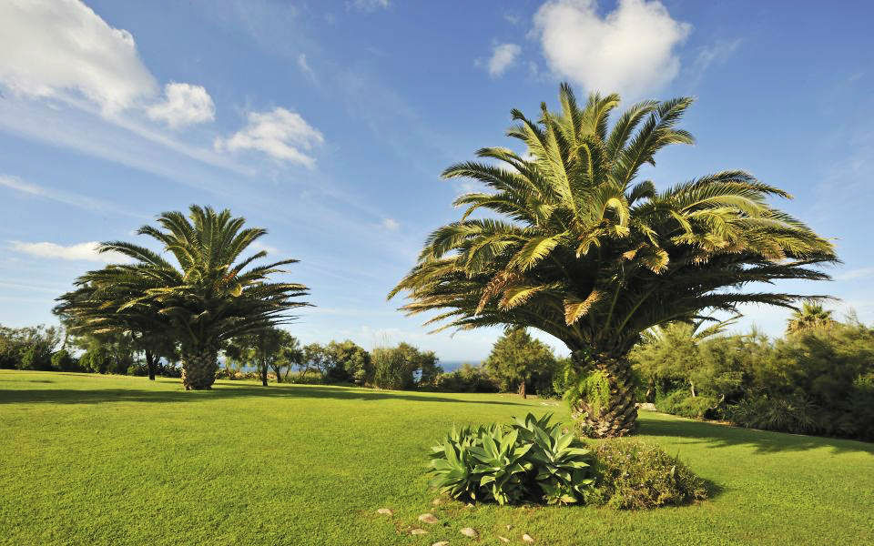 Pestana Cascais
