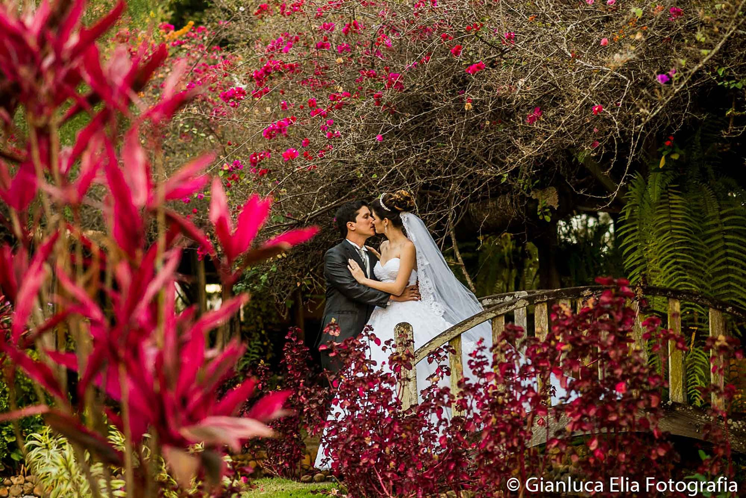 Gianluca Elia Fotografia 