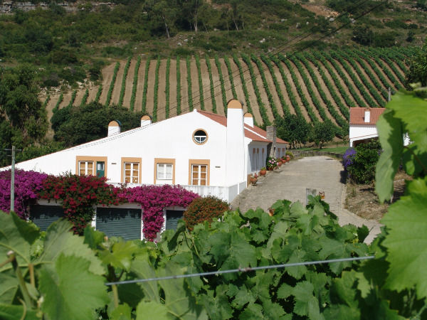 Quinta da Murta