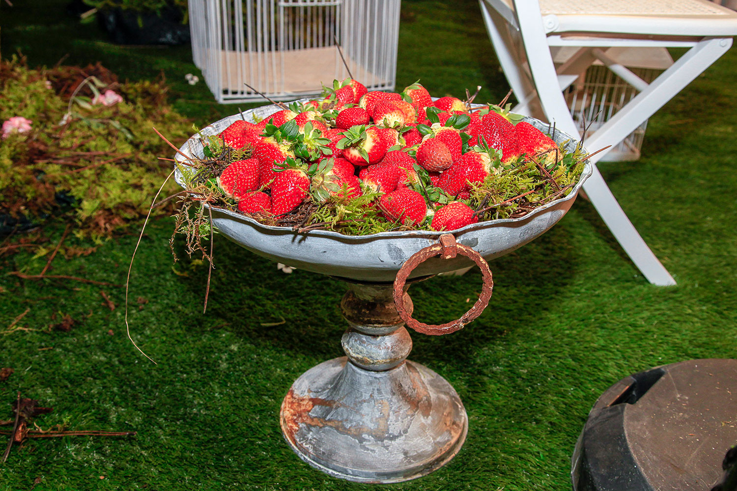 Guilherme do Vale - Interiores & Eventos