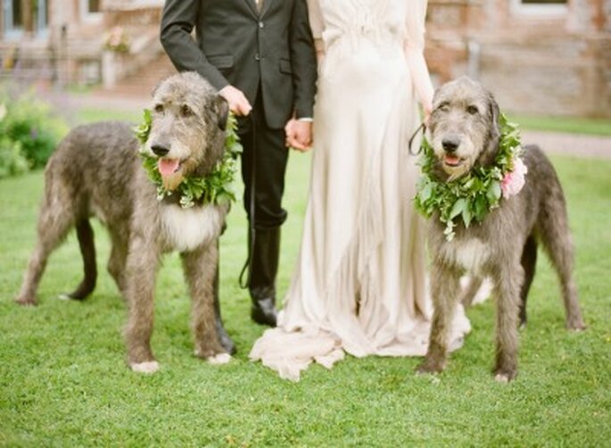 Flores en colores intensos. Foto: KT Merry Photography