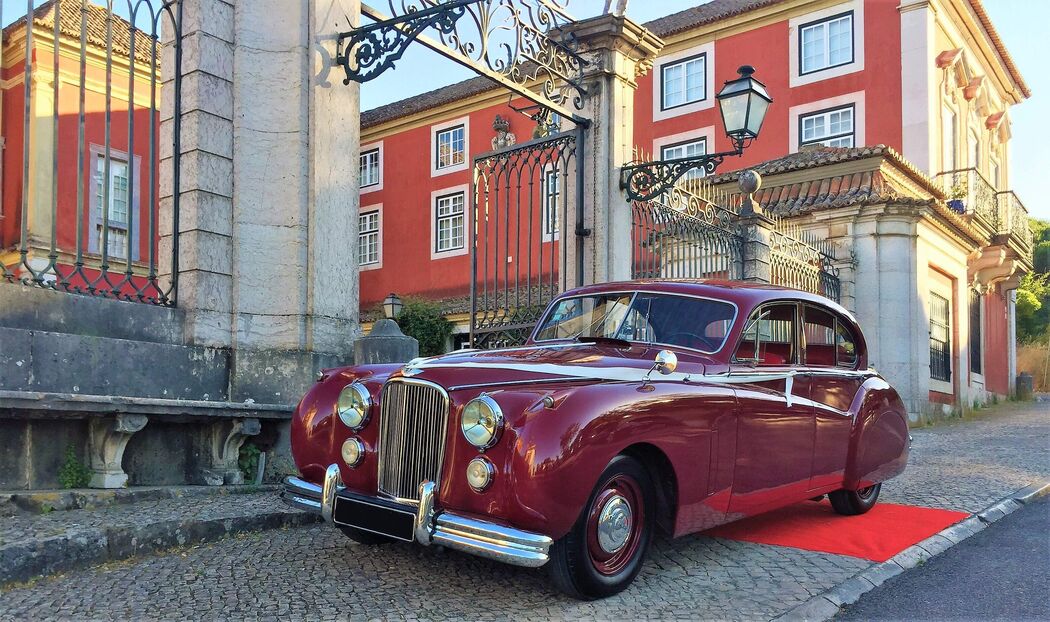 Jaguar MKVII - Clássicos Fialho | Foto: Divulgação