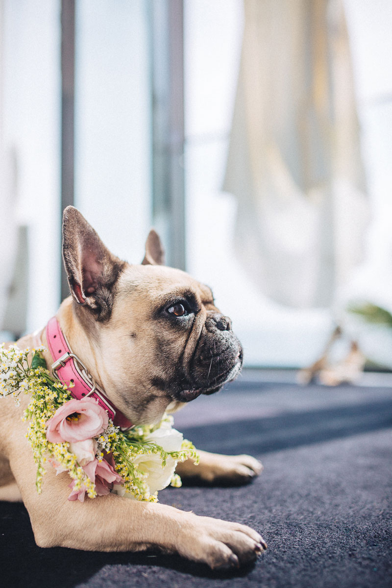 Aguiam Wedding Photography