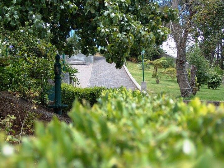 Quinta das Carreiras