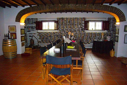 Monte do Pintor - Vinhos