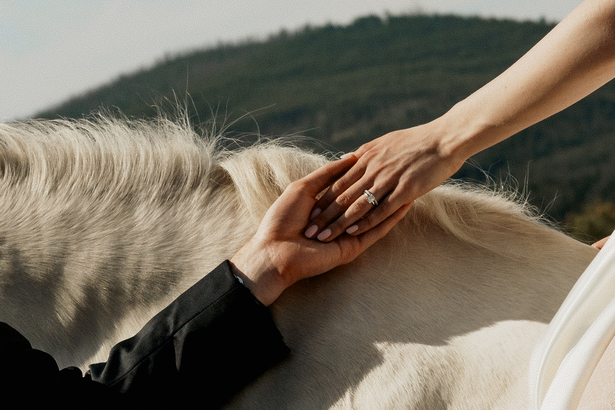 Untamed Love