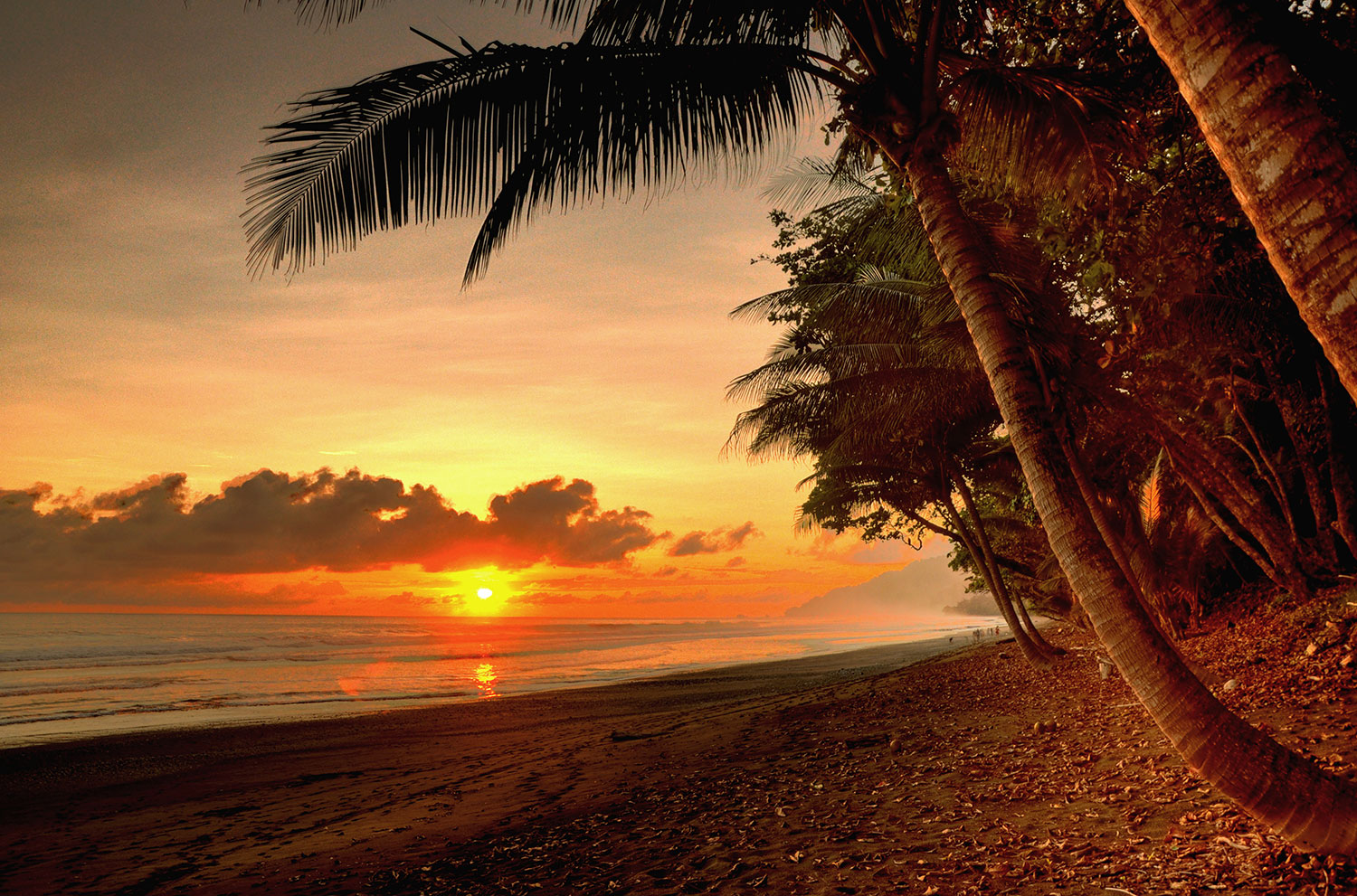 Logitravel. Costa Rica. Créditos: Shutterstock
