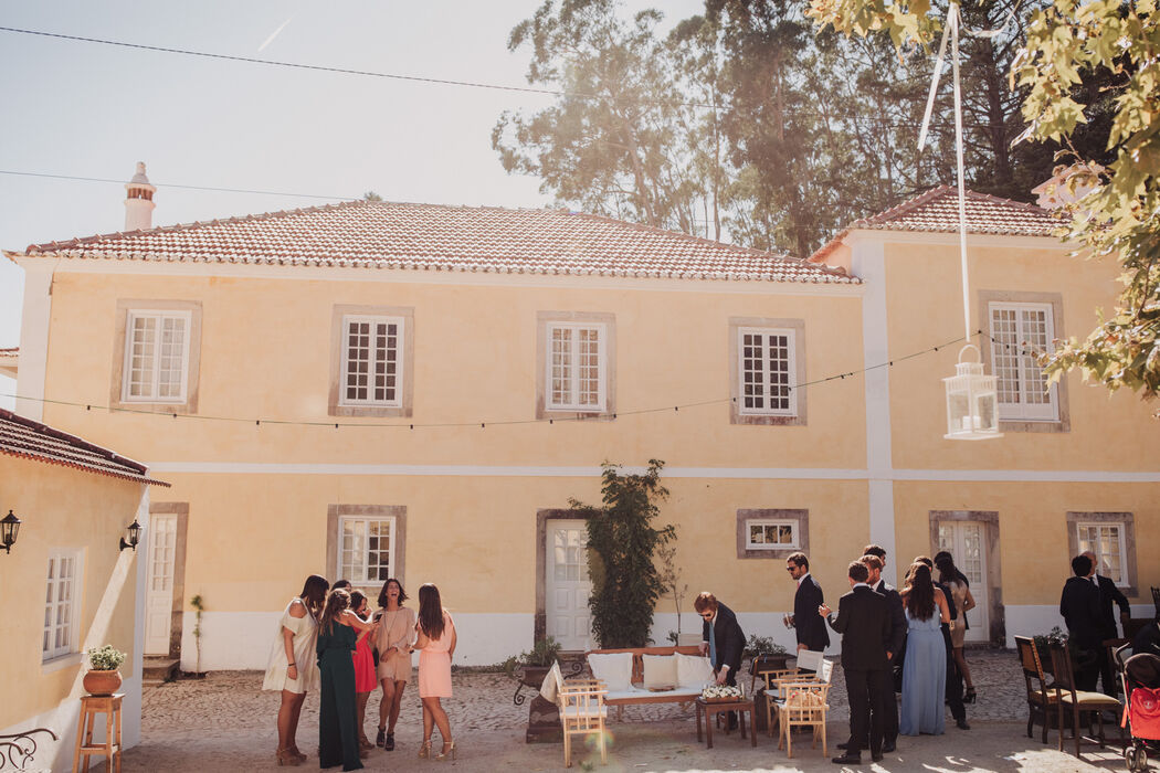 Cocktail de casamento