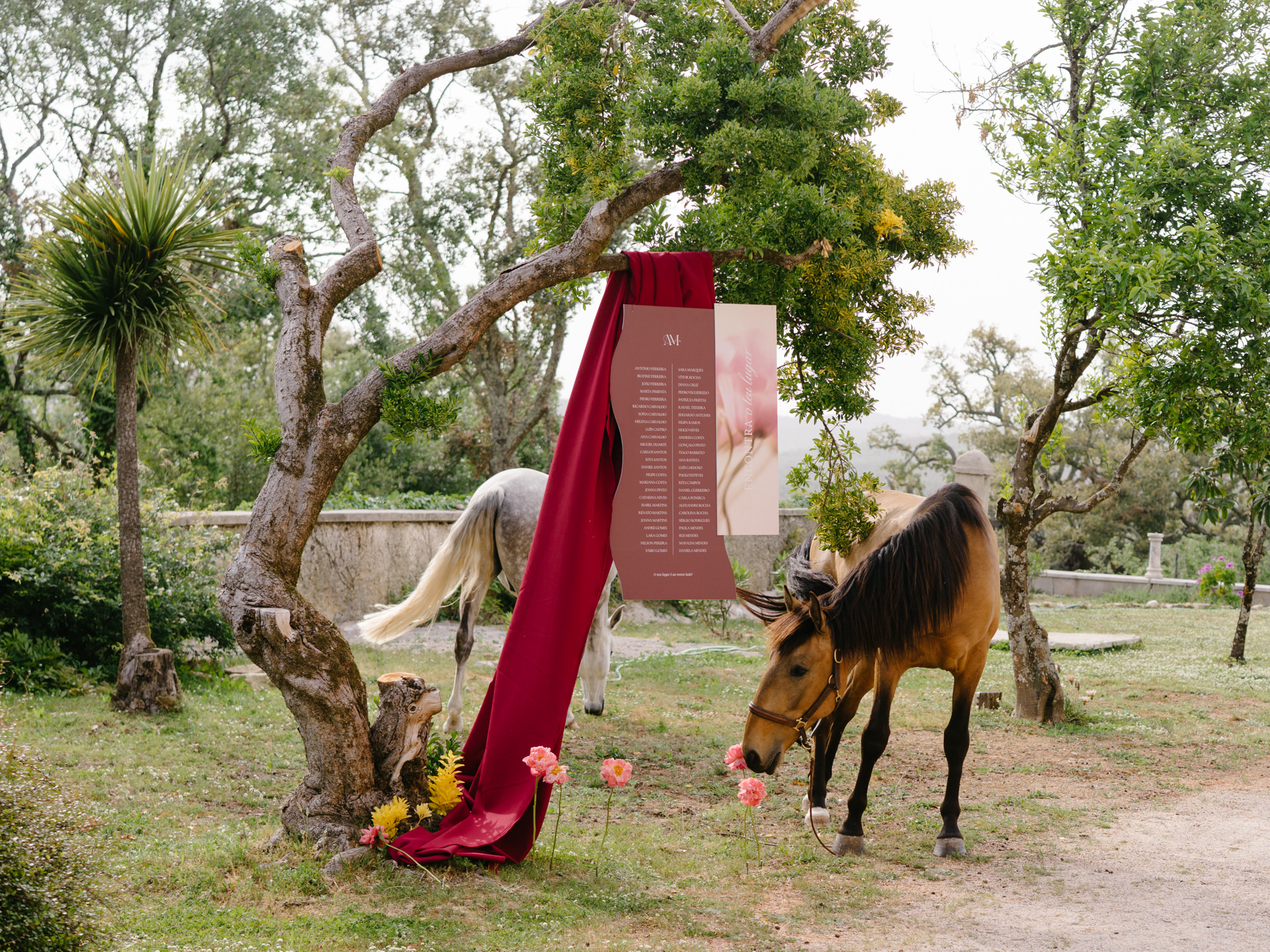 Foto: Detail Wedding Photography