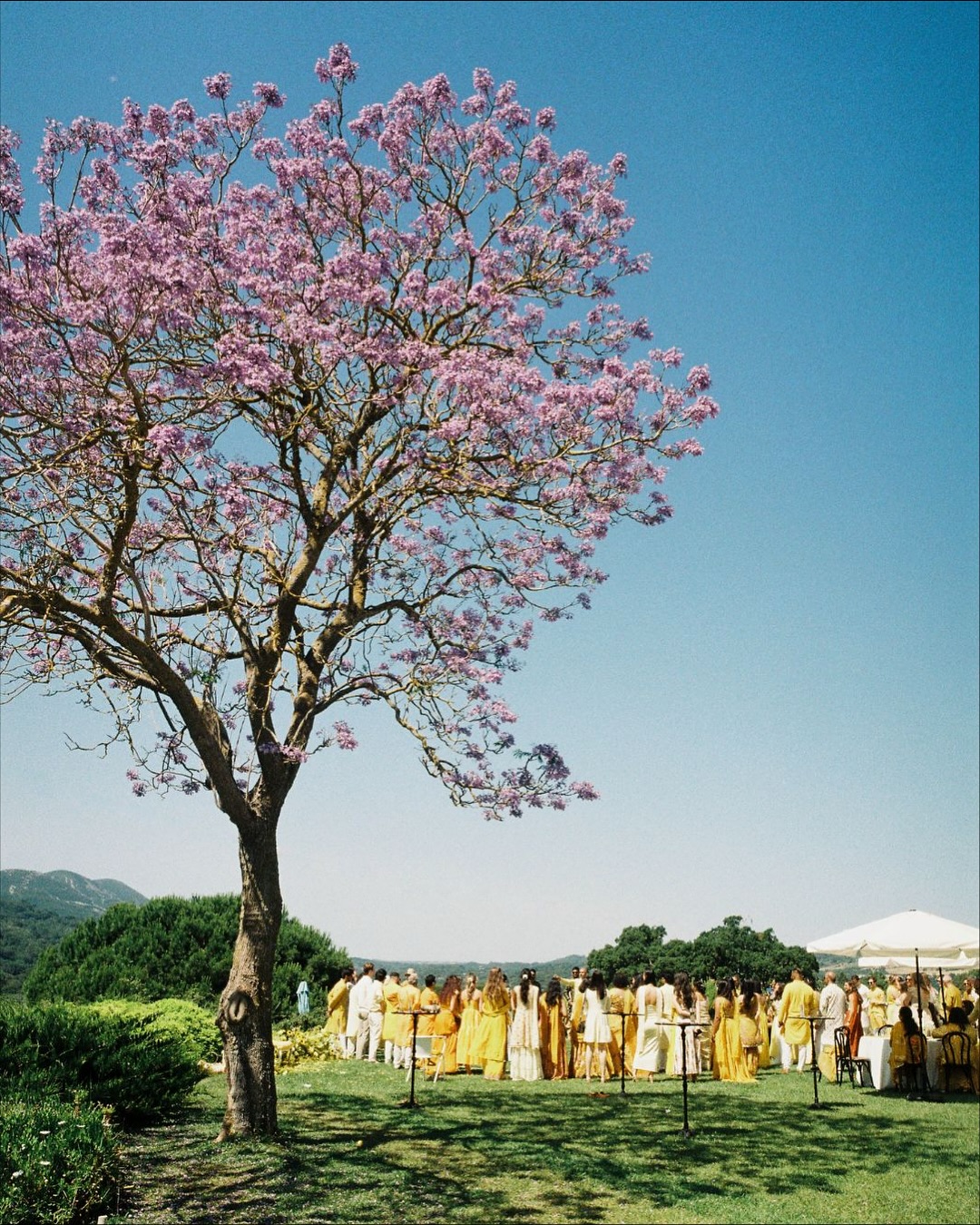 Photo: Afonso Castella