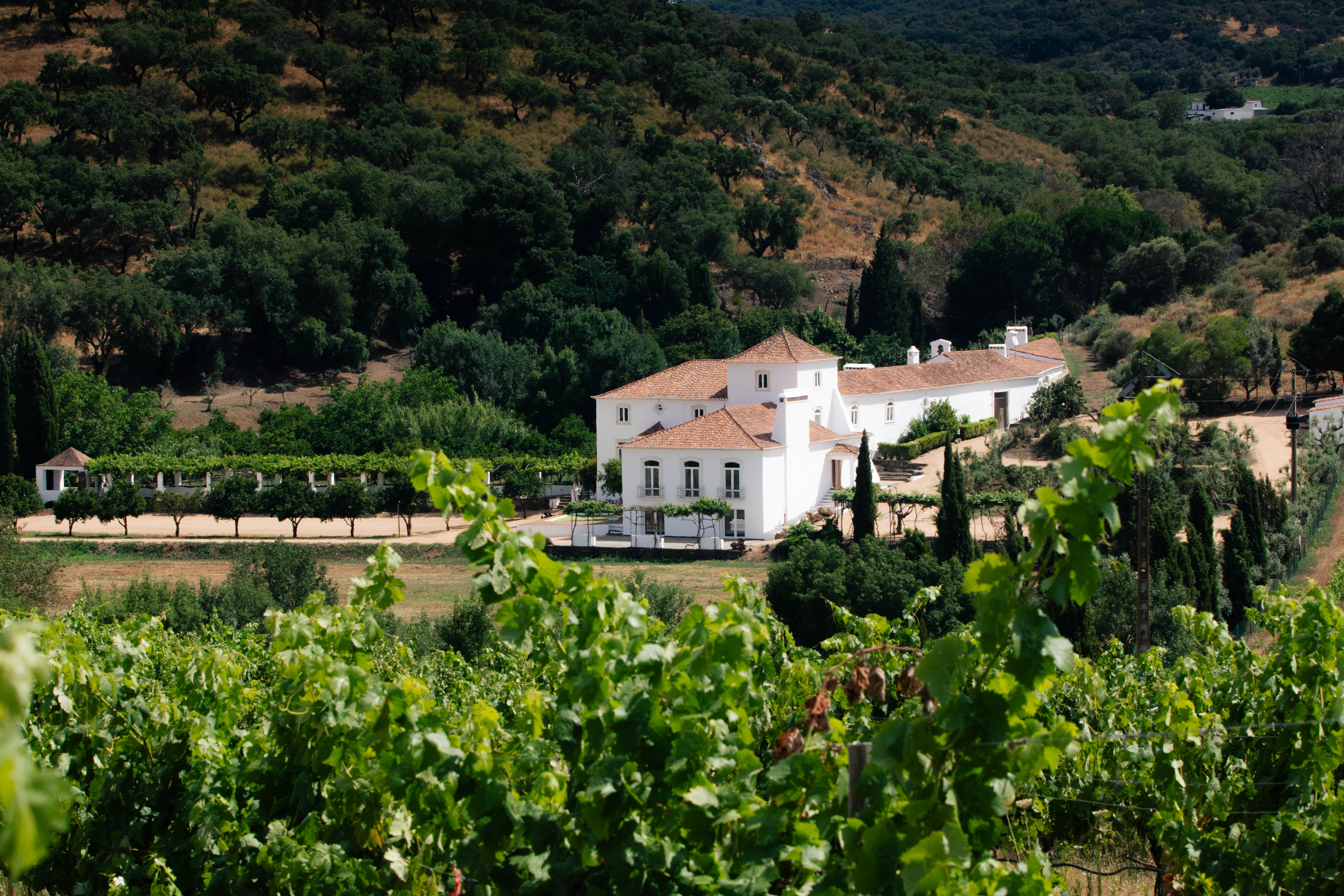 Villa Monge