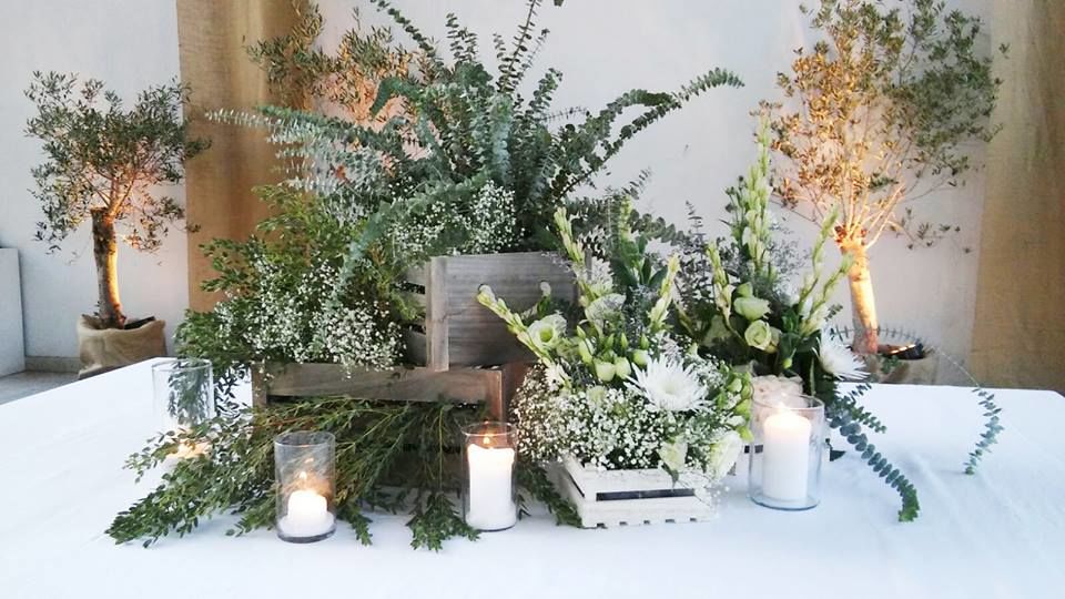 Verde aos Molhos - Decoração