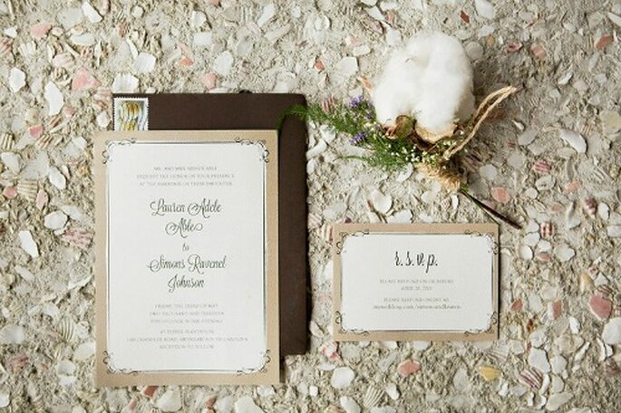 Wild Cotton Photography
