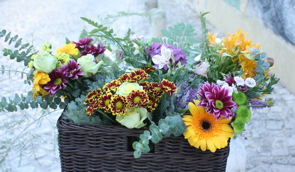 Gaivota Flores