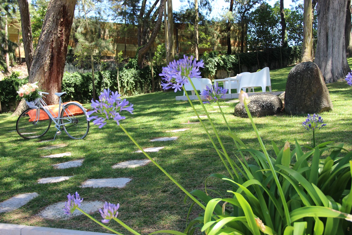 Prenúncio de Festa / Quinta do Lumarinho