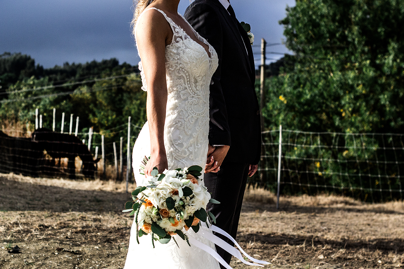 Vestido de noiva Rosa Clará