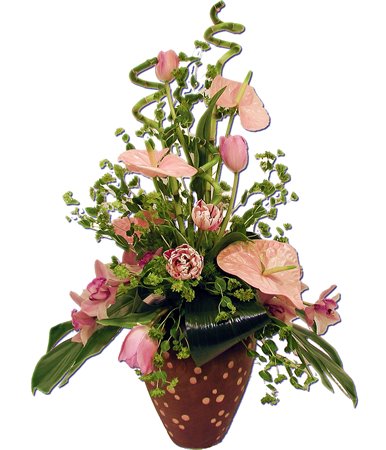 WebFlor Flores Portugal