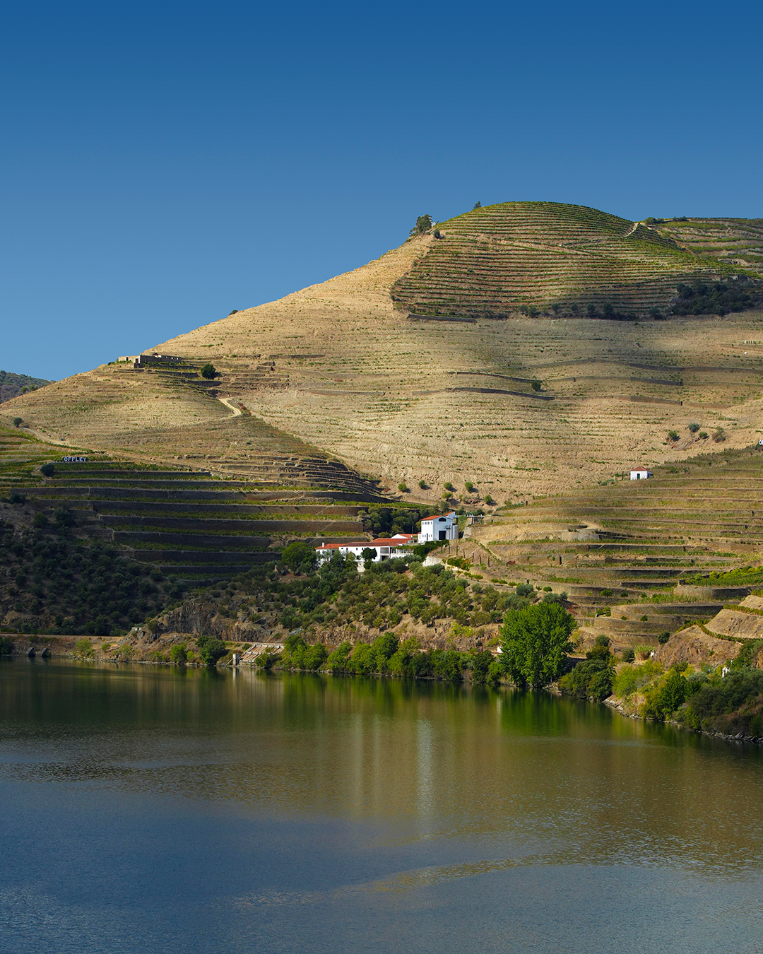 The Vintage House - Douro