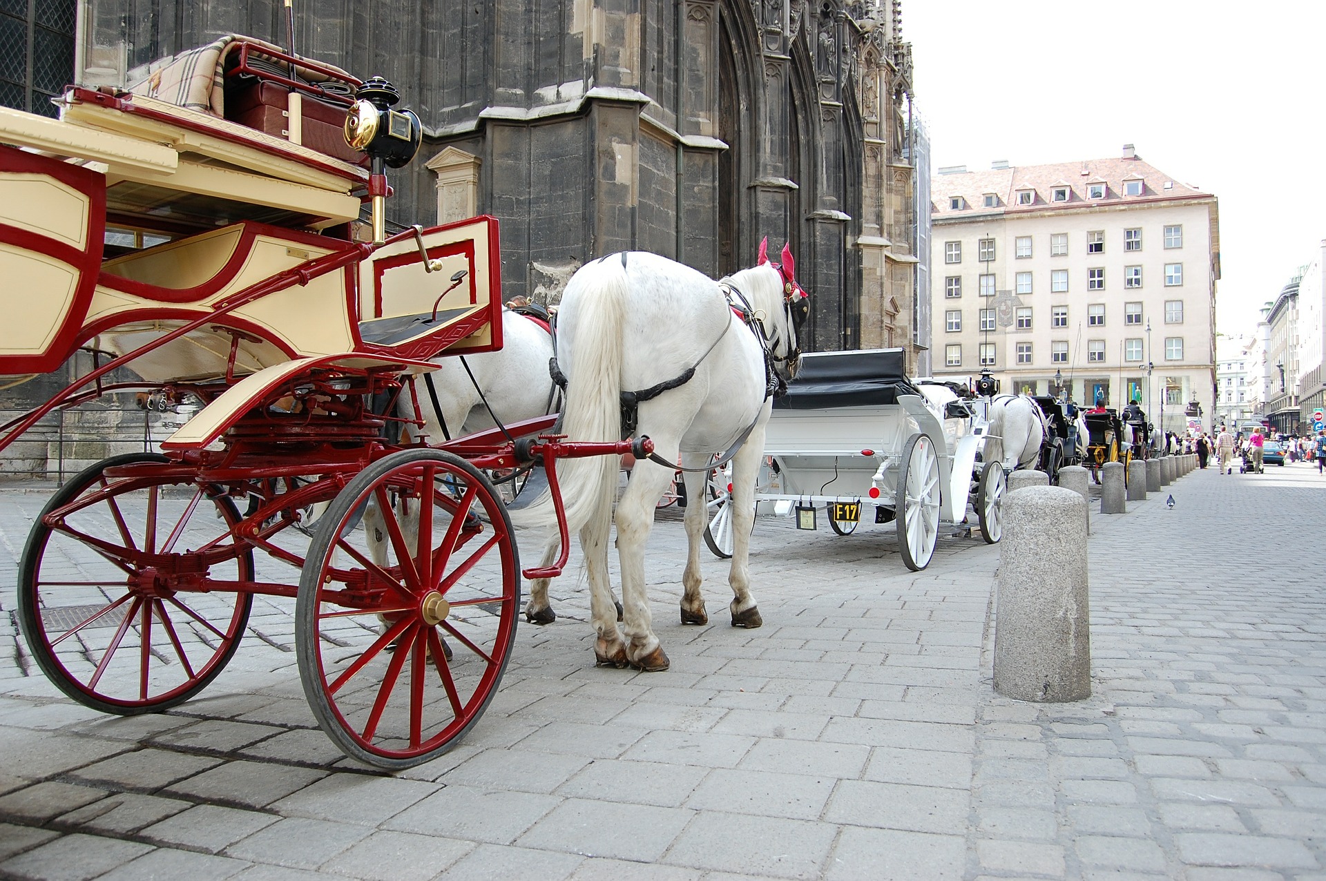 Charrete com cavalos em Viena de Aústria