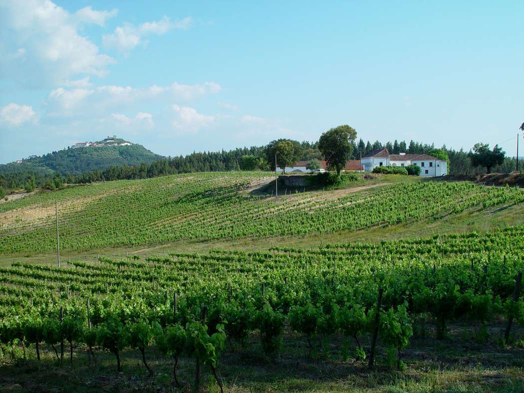 Quinta de S. Gens