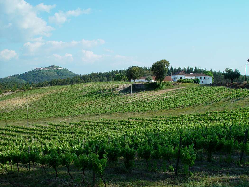 Quinta de S. Gens 